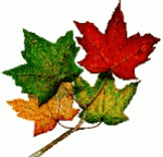 Clip-Art of Autumn Leaves.