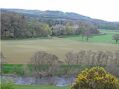 Picture of Carterhaugh meadow