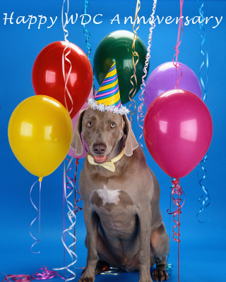 Dog anniversary image