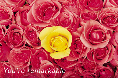 Youre remarkable image