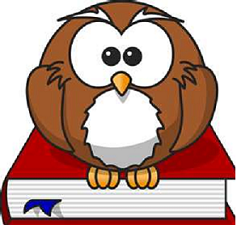 owl on book