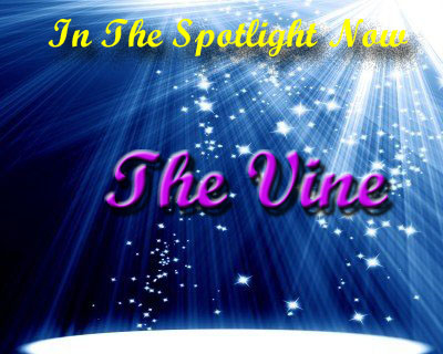the vine spotlight
