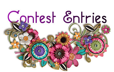 Contest Entries banner for port.