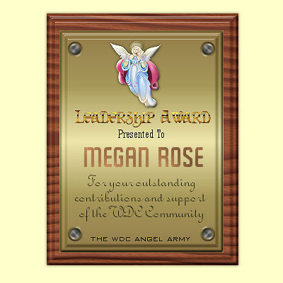 Special Leadership Award Plaque from Angel Army. 