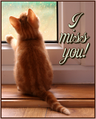 Please come back!