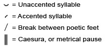 Scansion Symbols