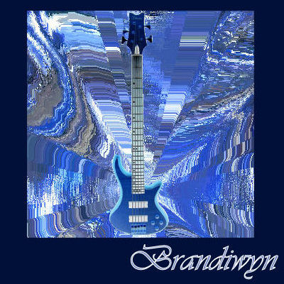 Designed from a photograph of my Schecter bass.