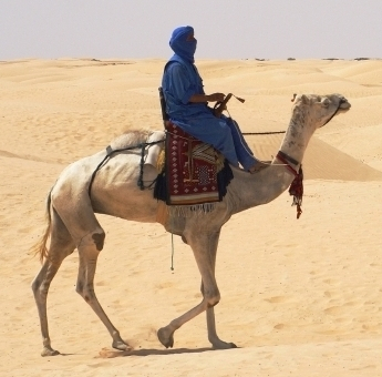 These children of the desert are the best examples of thrift.