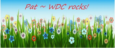 Field of flowers~WDC rocks!