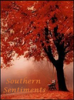 Southern Sentiments Banner
