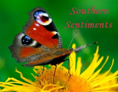 Southern Sentiments 2 Banner
