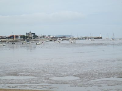 Looking across the Mud flats