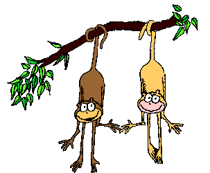Animated Monkeys image