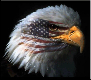 American eagle with flag