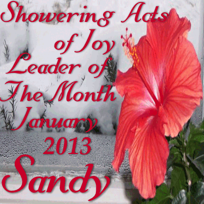 SAJ Leader of the Month for January 2013