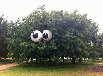 Rare creatures in the enchanted forest.