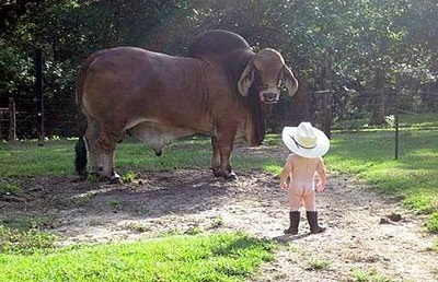 Real cowboys show no fear.