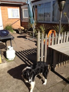 Vicki and back garden