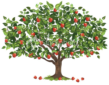 Family Apple Tree