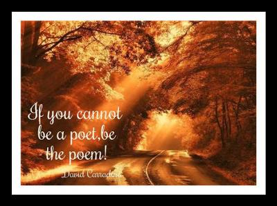 writing quotes