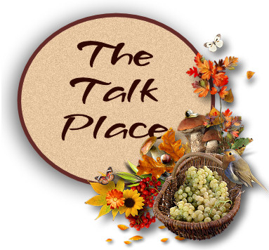 Bird Basket: The Talk Place