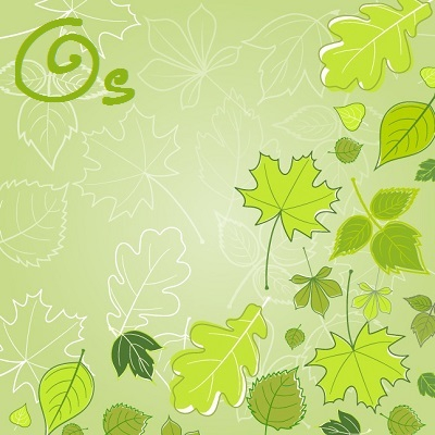My lovely leaf image.