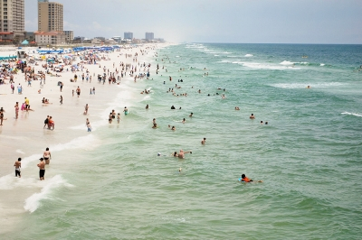 Beach Dwellers