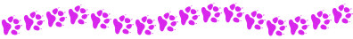 Paw Print Sig from Leger's Shop