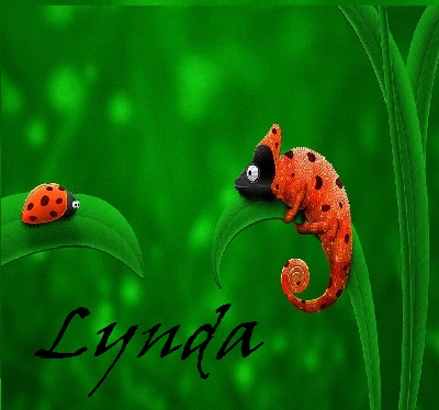 An image for Lynda.
