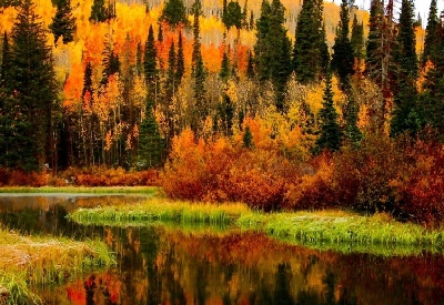 alaska autumn