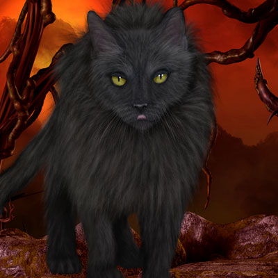 Black cat image by best friend Angel.
