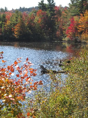 A pond in New Hampshire.