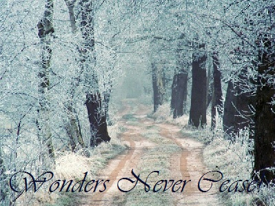 Winter trail scene