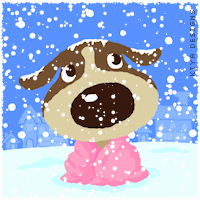 Snow fun dog