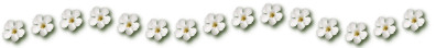 Flower divider for newsletters, etc.