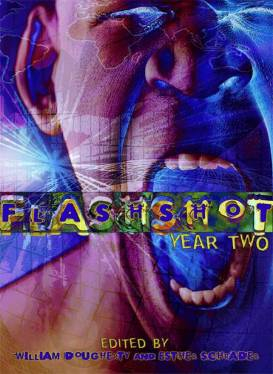 For "Flashshot: Year Two."