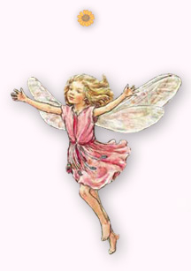 A pretty fairy to brighten Phoebe's day