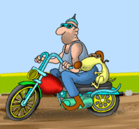 Biker and Dog Cruisin'