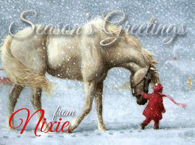 A girl with a horse in the snow? Holidays are here!