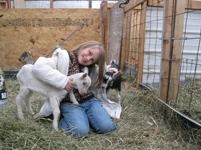 Leah, my granddaughter, loves her goats. They are so friendly and playful.