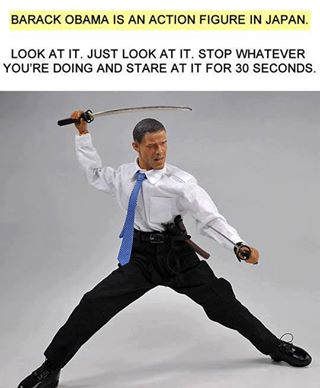 The Obama Ninja.