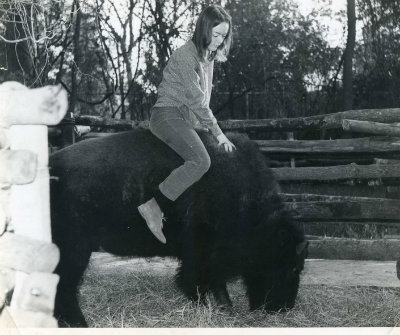 Billy was a buffalo that I raised from a scrawny little calf who was terrified.