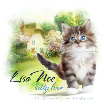 Lisa Noe - kitty love signature