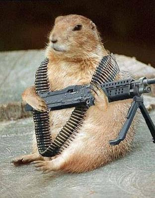 Armed Gopher