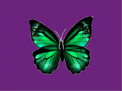 Green with purple bg