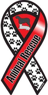 Animal Rescue Awareness Ribbon