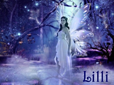 Winter Fairy Siggy