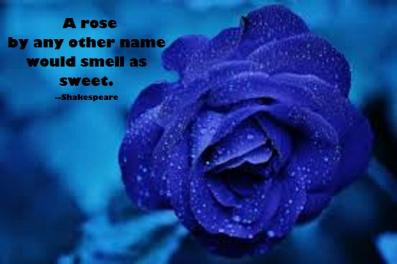 Rose with Shakespeare quote