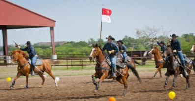 horses in cavalry