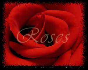 Rose signature